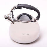 Чайник зі свистком 2.8 л. Kamille 0674, фото 3