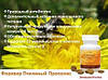 Бджолина пильца Форевер 100 таблеток, фото 5