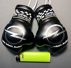 Боксерські рукавички в машину 65