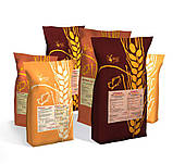 Суміш Вітапан Антиплісень (Вітапан Антиплісень) 10 кг, фото 2