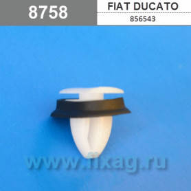 Кліпса кріплення молдингу на Фіат, фото 3