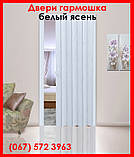 Двері гармошка під будь-які розміри, вибір кольорів. Міжкімнатні двері гармошка. Білий ясен., фото 2