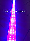 Світлодіодний фітосвітильник для розсади 1,2 м 32Вт (4червоних:2синіх), фото 3