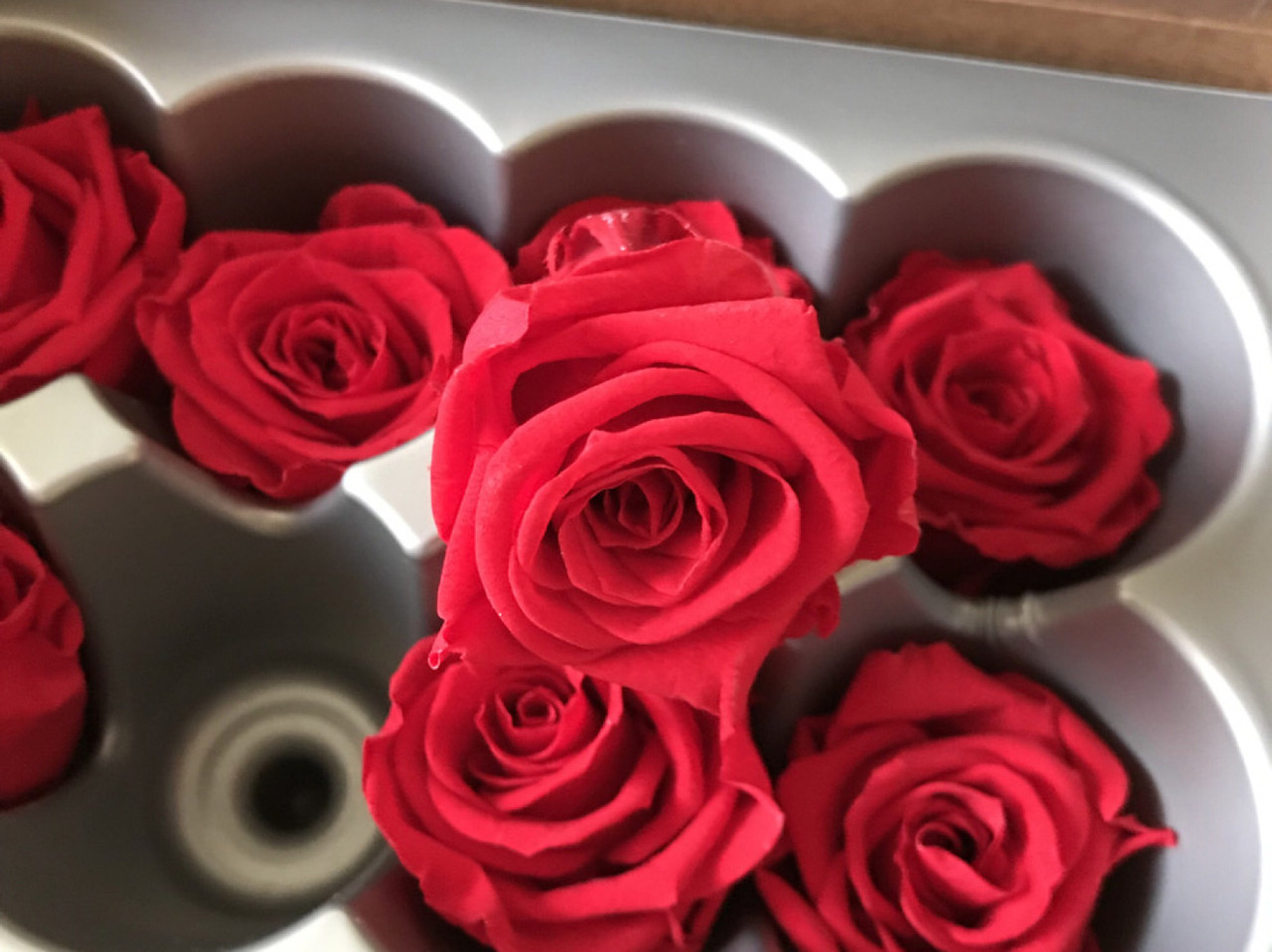 Троянда стабілізована бутон червоний 5,5 см