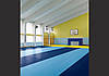 Спортивний Лінолеум LG Sport Leisure 4.0 Solid LES6400, фото 3