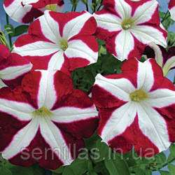 Насіння Петунії Крістіна F1, пурпурно - біла зірка, 1000 шт. (драже), мультифлора