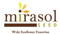 Mirasol
