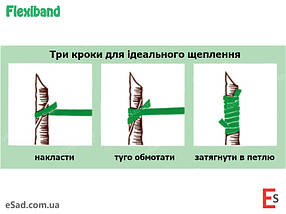Гумка для шеплення Flexiband A 100х3,5 мм, 4200 шт, фото 4