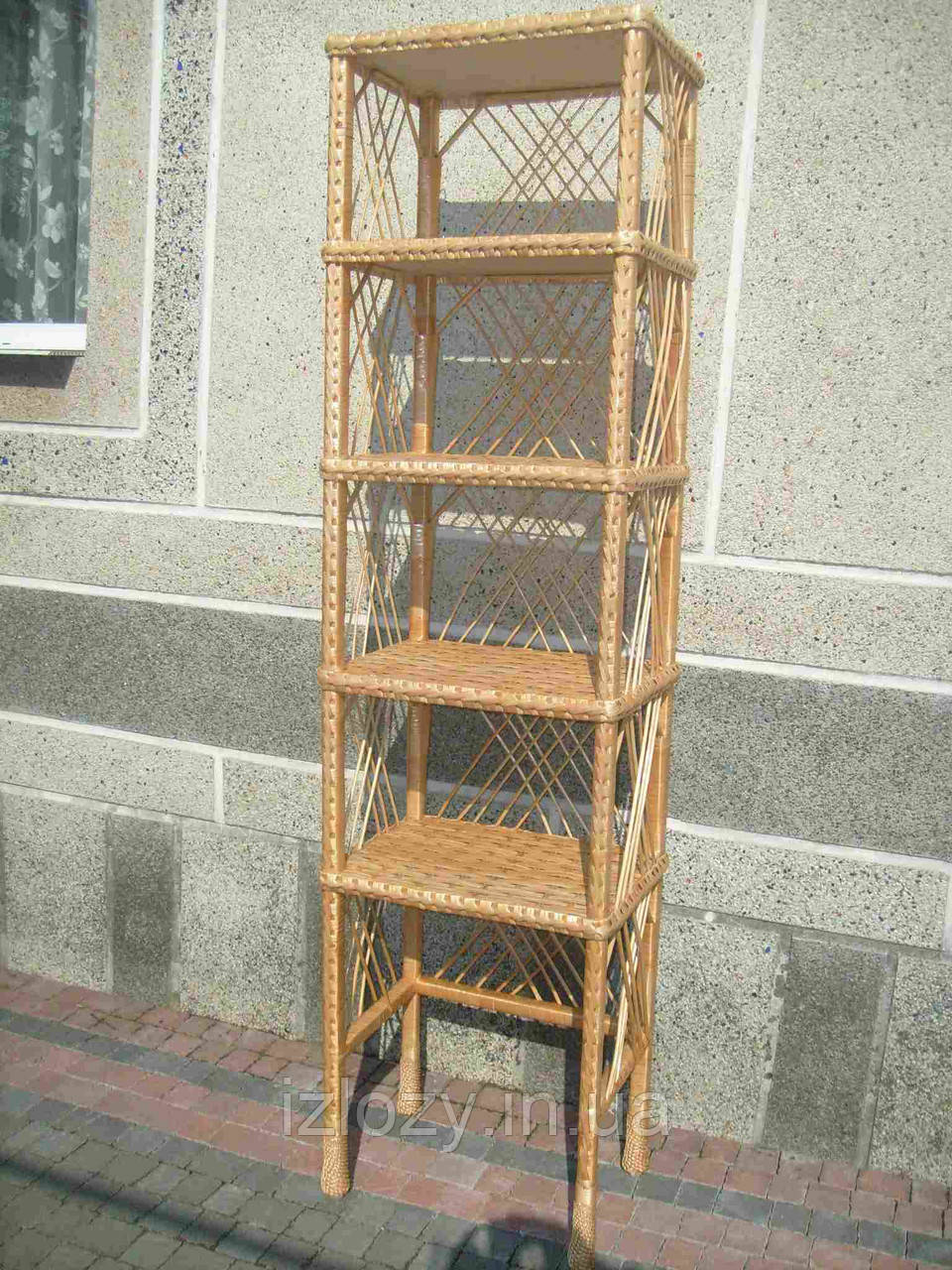 Пілочка висока