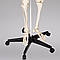 Об'ємний анатомічний скелет людини 181 см, фото 6
