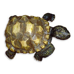 Фігурка черепахи запорука мудрості, довголіття, надійності і стабільності