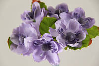 Незабудки, проліски, кали, яблуня