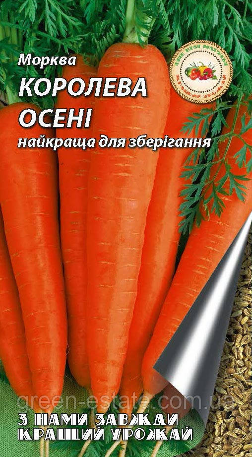 Морква Королева осені 20 г.