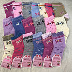 Шкарпетки дитячі для дівчаток, фото 2