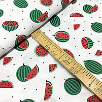 Польська бязь "кавуни дрібні на білому", фото 2