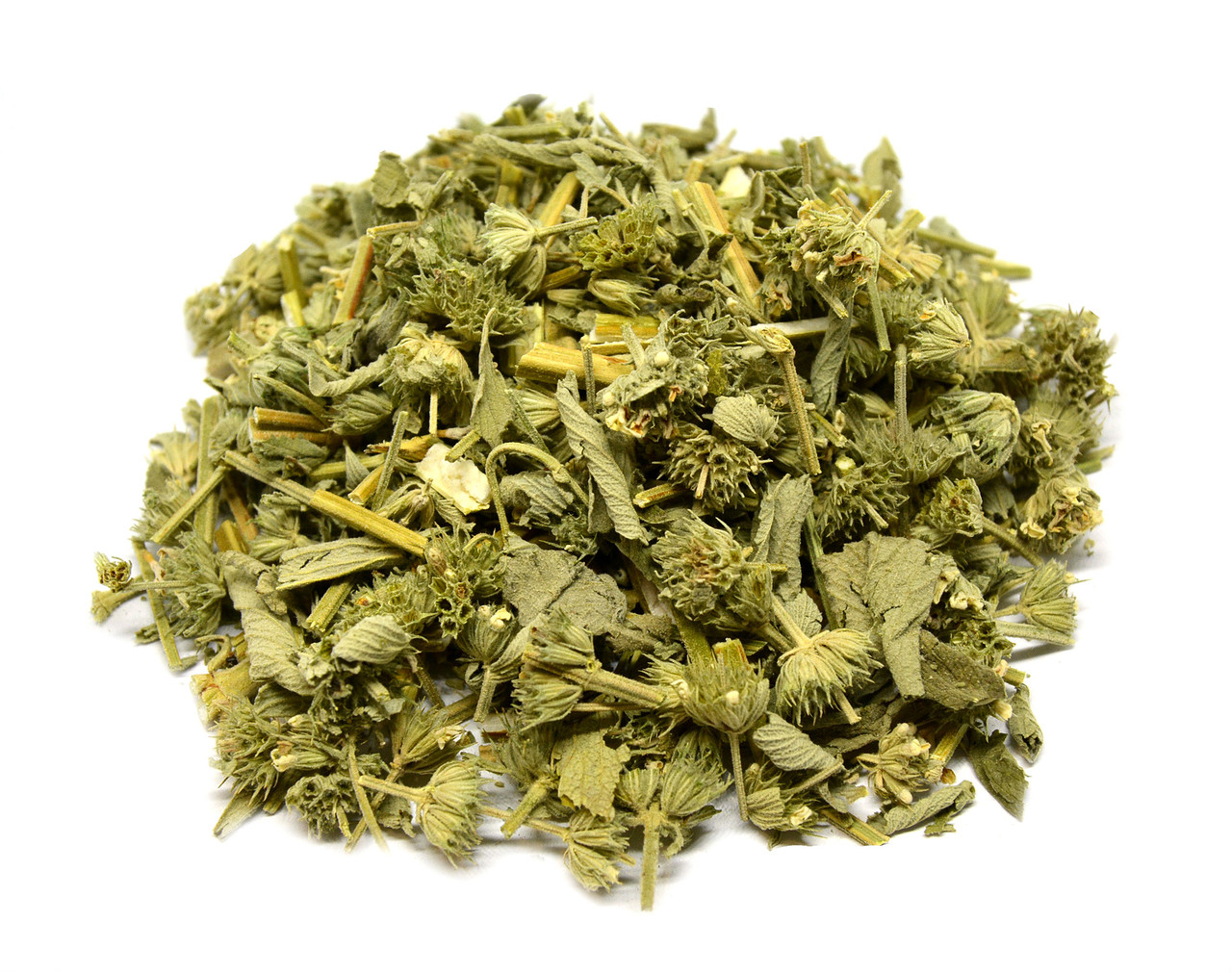 Шандра звичайна трава