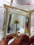 Ювелірна прозора епоксидна смола Magic Crystal 3D упаковка 0,75 кг (0,5 кг смоли + 0,25 кг затверджувача), фото 4