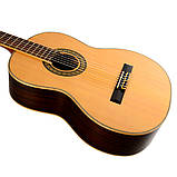 Класична гітара FANNDEC G-250 N, фото 2