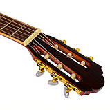 Класична гітара FANNDEC G-250 N, фото 3