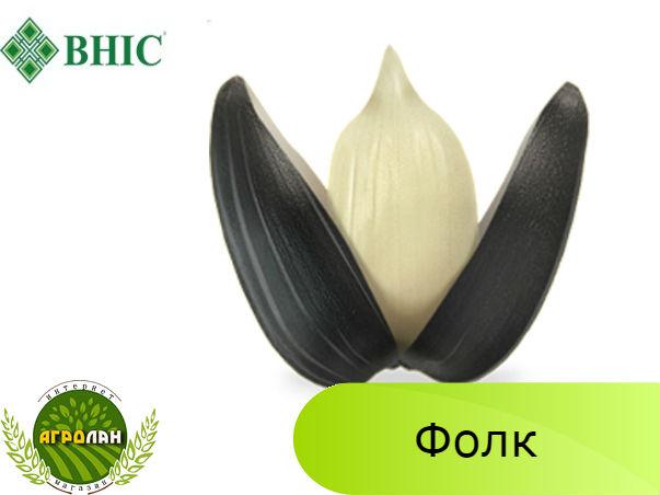Насіння соняшнику Фолк (вегетація 105-108дн.) УНІС, стійкий до Гранстару. Урожай 2022
