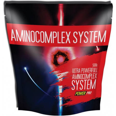 Power Pro AminoComplex System 500 g, фото 2