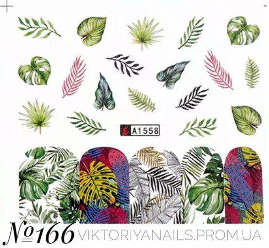 

Слайдер- дизайн №166(А1558)