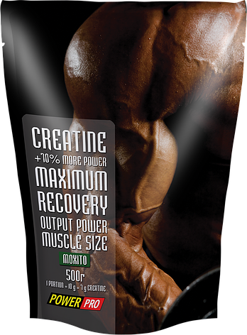 Power Pro Creatine 500 g, фото 1