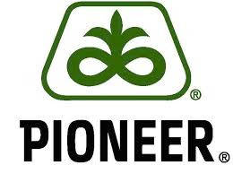 Насіння соняшнику Pioneer