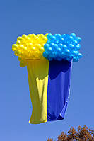 Парад вишиванок 2014 "Полтава вишивана" 20