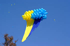 Парад вишиванок 2014 "Полтава вишивана" 23