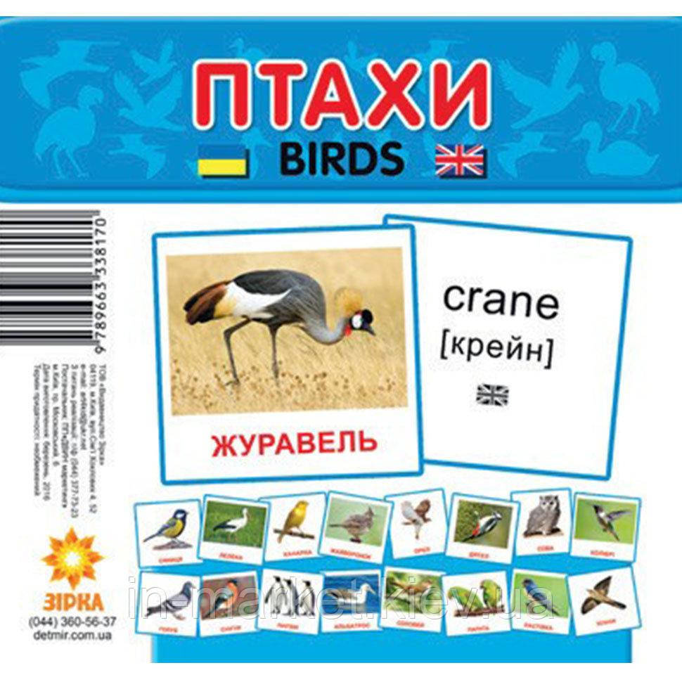 Картки міні Птахи (Укр/Англ) 110х110 мм Зірка