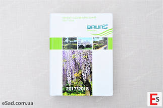 Каталог Брунс 2017-2018, фото 3