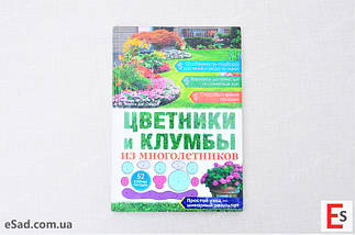 Квітники та клумби з багаторічників, фото 3