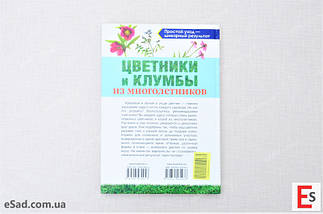 Квітники та клумби з багаторічників, фото 5