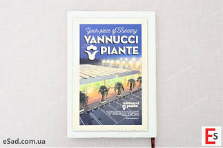 Каталог Vannucci Piante 2017/2018, фото 4