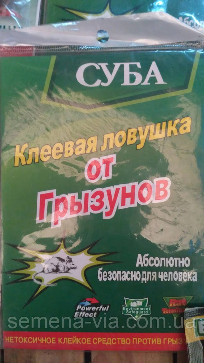 Клейова пастка від гризунів, фото 1