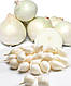 Озимый лук севок Сноуболл (Snowball) 8/21 0.5 кг/ TOP Onion Sets - фото 2 - id-p2770790464