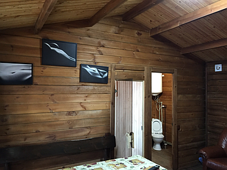 База Афины и беседка в Кременчуге 16