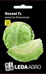 Насіння капусти Нозомі F1, 100 шт., білоголової ранньої, ТМ "ЛедаАгро"