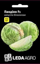 Насіння капусти Пандіон F1, 100 шт., білоголової ранньої, ТМ "ЛедаАгро"