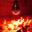 Інфрачервона лампа PAR38 175Вт 230В, фото 3