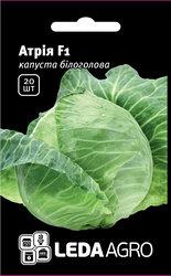 Насіння капусти Атрія F1, 20 шт., білокачанної середньо-пізній, ТМ "ЛедаАгро"
