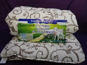 Ковдра "ЛЮКС" Бязь 200*220 у ПВХ сумці, фото 2