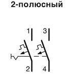 Автоматичний вимикач 2P 6kA C-10A 2M Hager, фото 3