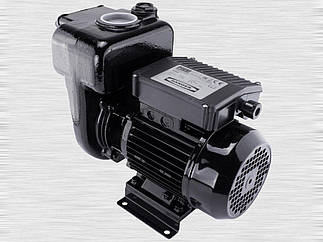 Насос Piusi E 300