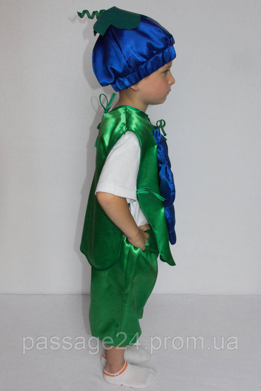 Детский карнавальный костюм Виноград - фото 4 - id-p765800525