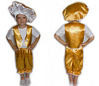 Детский карнавальный костюм для мальчика гриб Лисичка