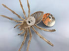 Павук-скелет з ефектом миготіння 20х15 см, фото 2
