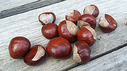 Каштани натуральні висушені, 10 шт\уп