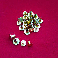 Гвинт ремінний золото 50 шт (10х6мм)